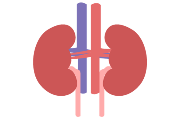 慢性腎臓病（CKD）